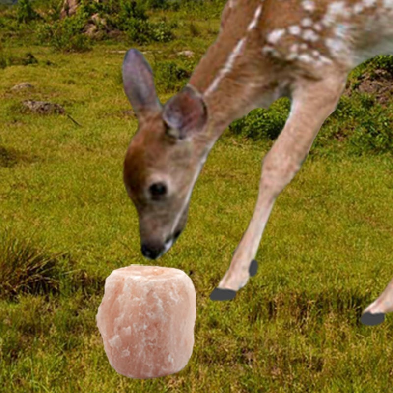 MUYG Himalayan Salt Lick Natural Minerals Block on Rope for Horses,Cattles,Deer,Goat and Other Livestock Long Lasting Original Pink Salt Lick (2.4-3.3 lbs) - Image 5