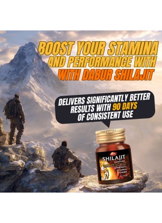 Shilajit Ayurvedic Capsules |Herbal Supplement for Strength , Energy & Stamina | For Men