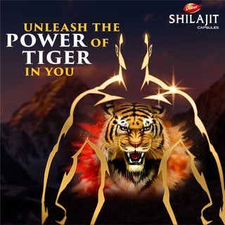Shilajit Ayurvedic Capsules |Herbal Supplement for Strength , Energy & Stamina | For Men