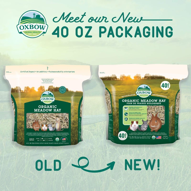 Oxbow Organic Meadow Hay, Guinea Pig & Rabbit Hay, Small Pet Bunny Supplies, All Natural Grass for Guinea Pig, Bunny, Chinchilla & Hamster, Rabbit Supplies for Bunnies, 40 oz Bag - Image 2