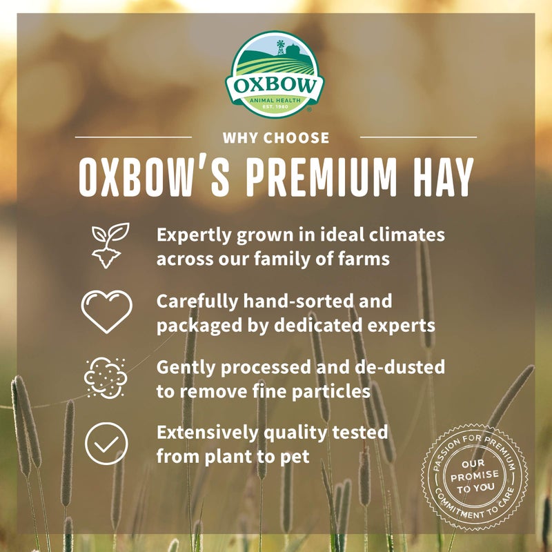 Oxbow Organic Meadow Hay, Guinea Pig & Rabbit Hay, Small Pet Bunny Supplies, All Natural Grass for Guinea Pig, Bunny, Chinchilla & Hamster, Rabbit Supplies for Bunnies, 40 oz Bag - Image 3