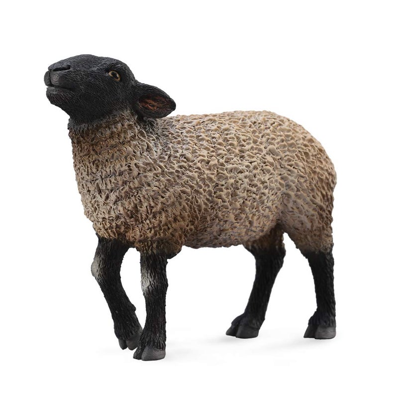 CollectA Suffolk Sheep - Image 1