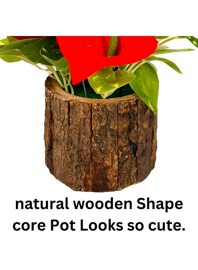Dekorly Artificial Sunflowers, Rose, Anthurium Fake Flowers Potted Artificial Plants Decorative Artificial Flowers Indoors for Home Office | Natural Wooden Pot (Anthurium, Height : 18CM) - Image 4