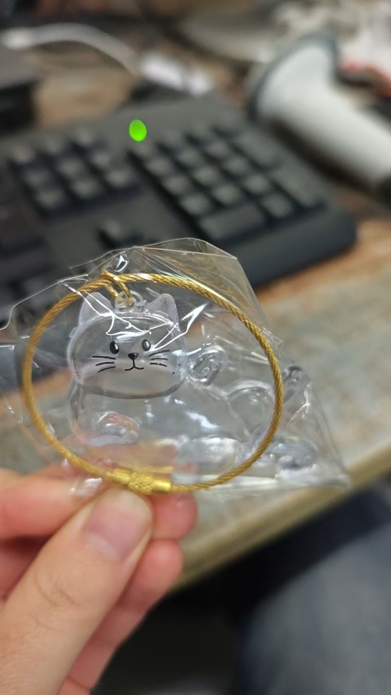 New cross-border product: Transparent cat hair storage box, capsule toy, keychain, commemorative item. - Image 1