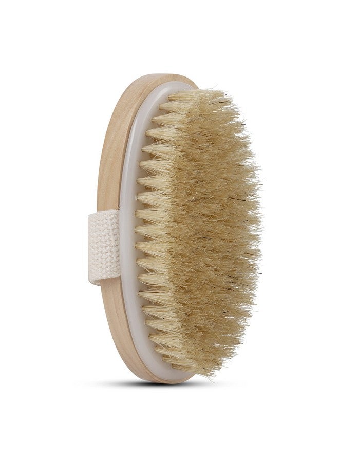 Wholesome Beauty Wholesome Beauty Dry Skin Blood_Circulation Body Brush Pouch For Travel And Hookincluded - Cotton Loop For Hanging  - Image 1