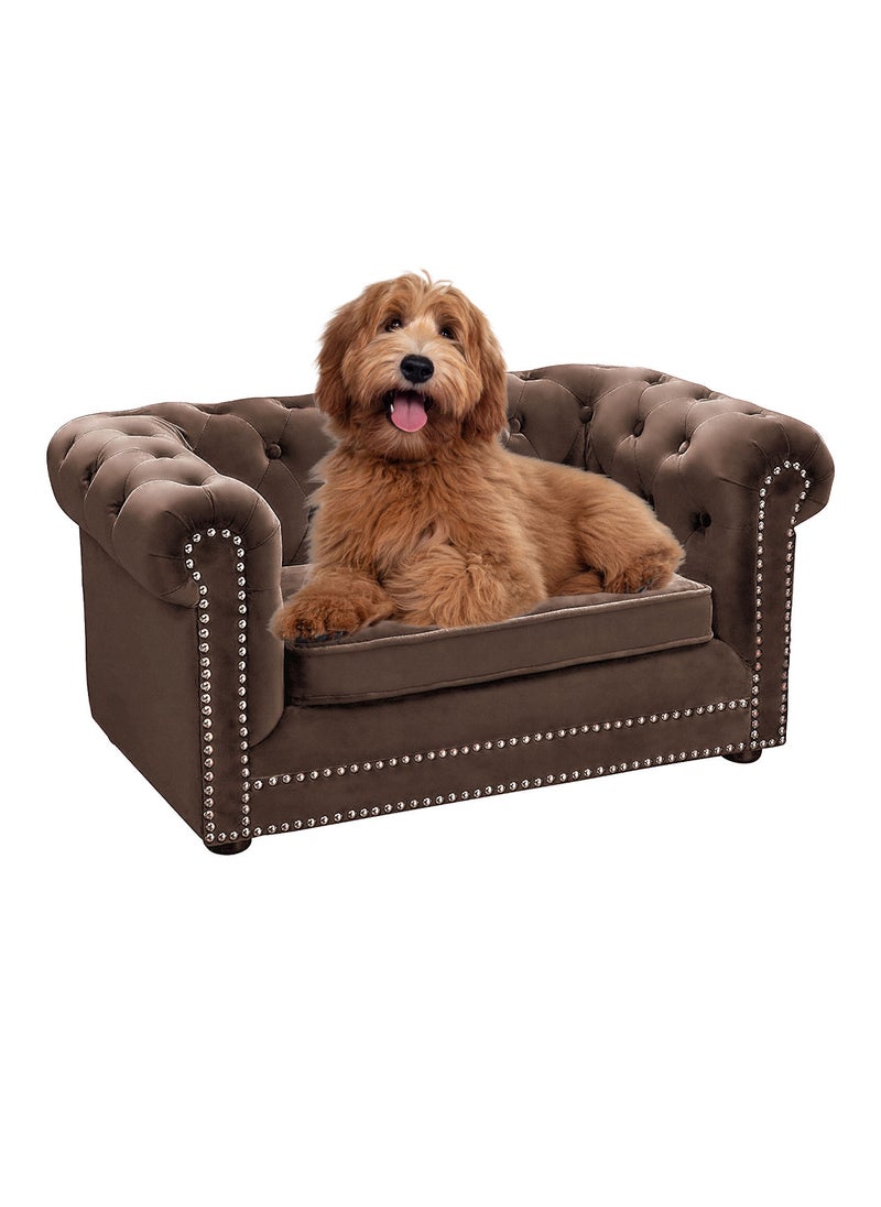 CHEWY BONE Dogs Bed and Furniture Luxury Dog Sofa Calming Foam & Fluffy Elevated dog bed chair with removable cushion for XS Dog bed & Puppies  - Image 1