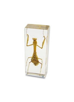 ريل بج ثقل ورق على شكل فرس النبي من REALBUG (1 5/8 × 4 3/8 × 1 1/8 بوصة)  - Image 3