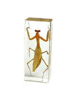 ريل بج ثقل ورق على شكل فرس النبي من REALBUG (1 5/8 × 4 3/8 × 1 1/8 بوصة)  - Image 1