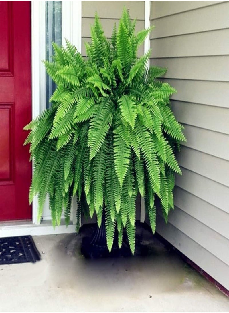 GGOOT - 100Pcs Creeper Boston Fern Seeds Vine Plant Home Ornament Garden Bonsai Decor - Boston Fern Seeds - Flower Seeds Vegetable Seeds Fruit Seeds Garden Plant Seeds - Image 1