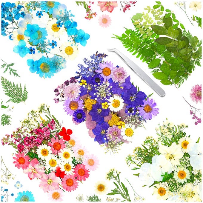 170PCS REAL DRIED PRESSED FLOWERS LEAVES PETALS FOR CRAFTSBEAUTIFUL PRESSED FLOWERS DAISIES FOR RESIN JEWELLERY PRESSED FLOWERS NAIL PENDANT CRAFTS MAKING CRAFT DIY ACCESSORIES WITH 1PCS TWEEZERS