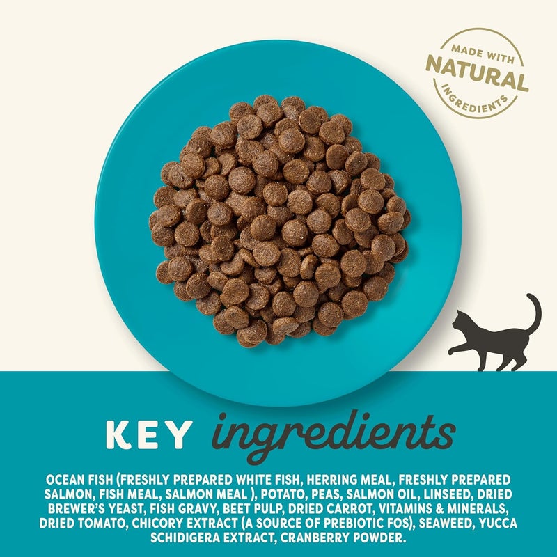 Applaws Sterilized Cat Dry Food Fish & Salmon - 1.8 Kg - Image 5