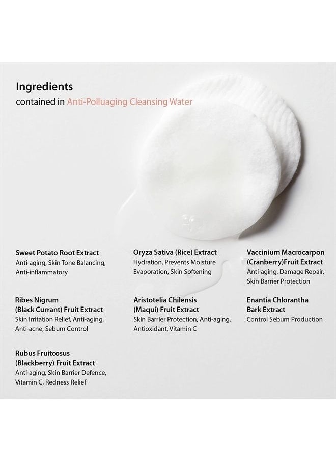 Anti Polluaging Cleansing Water with Himalayan Pink Salt - water based cleanser korean,make up removers 8.4 Fl Oz