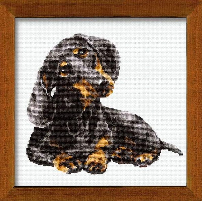 RIOLIS Cross Stitch Kit  906  Dachshund