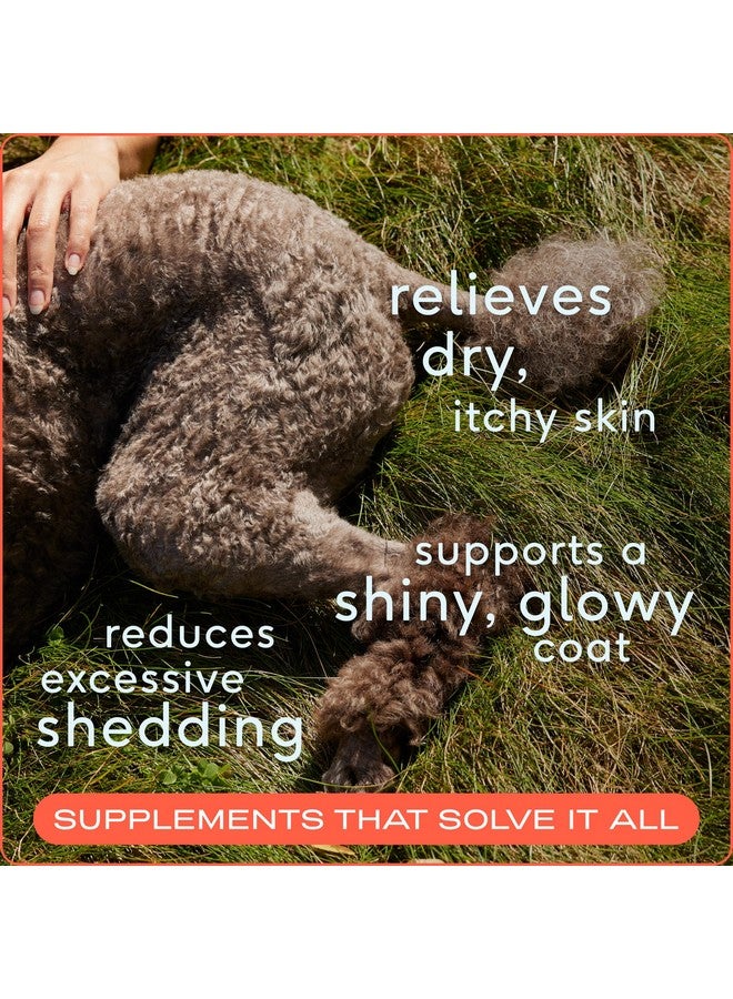 Native Pet Omega 3 Fish Oil for Dogs & Cats - Promotes Healthy Skin, Shiny Coat, & Strong Joints - Made with Wild Alaskan Salmon Oil for Dogs - Tasty, Fast-Absorbing Omega 3 6 9 Liquid Supplement-16oz - Image 2