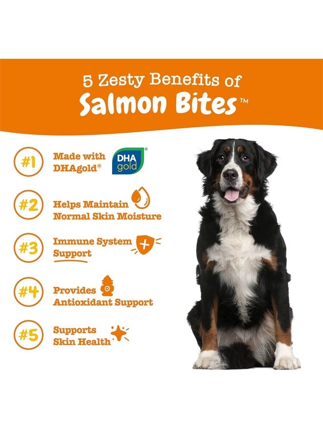 Zesty Paws Salmon Fish Oil Omega 3 for Dogs - with Wild Alaskan Salmon Oil - Skin & Coat + Seasonal Allergy Support - Hip & Joint Dog Supplement + EPA & DHA - 90 Bites - Salmon Flavor - Image 1