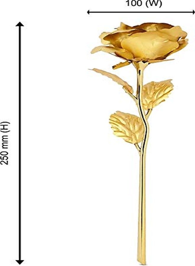 Webelkart Plastic Valentine Gift for Girls Boys Girlfriend Boyfriend Husband Wife Love Couple Decorative 24K Gold Plated Artificial Rose Flower with Box (Gold, 10 Inches), Artificial Gold Rose - Image 5