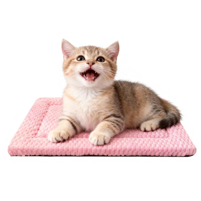 pobopobo Dog Bed Mat Soft Comfortable Dog Kennel Pad for Crate Durable Crate Bed Mat for Dogs Cats - Image 2