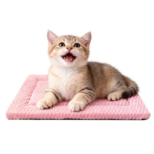 pobopobo Dog Bed Mat Soft Comfortable Dog Kennel Pad for Crate Durable Crate Bed Mat for Dogs Cats - Image 1