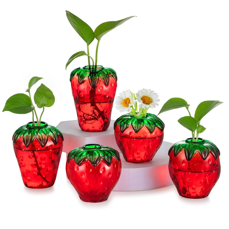 Hewory Glass Strawberry Propagation Vases for Plants: 5PCS Cute Strawberry Decor for Home Kitchen Bathroom Office - Unique Indoor Hydroponic Planters Gifts for Mom Women Mothers Day (Red) - Image 1