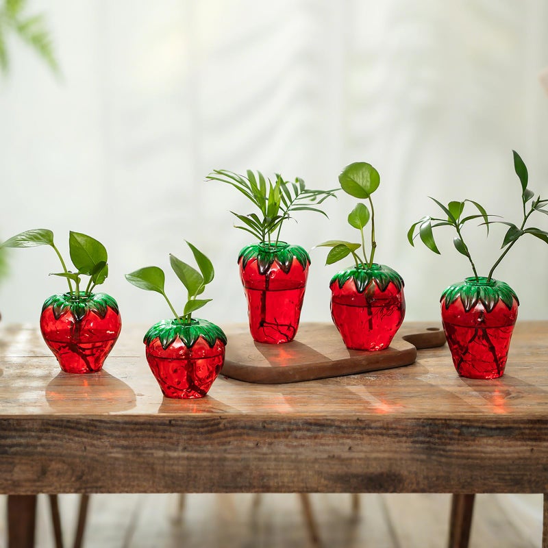 Hewory Glass Strawberry Propagation Vases for Plants: 5PCS Cute Strawberry Decor for Home Kitchen Bathroom Office - Unique Indoor Hydroponic Planters Gifts for Mom Women Mothers Day (Red) - Image 2