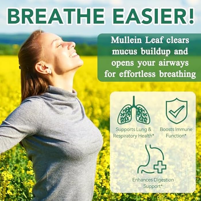 SDJUFEI 2 Pack Mullein Gummies for Lungs, 2000mg Mullein Leaf Extract for Respiratory & Digestive & Immune Support, Natural Herbal Supplement, Pear Flavor Gummies 60 Gummies - Image 3