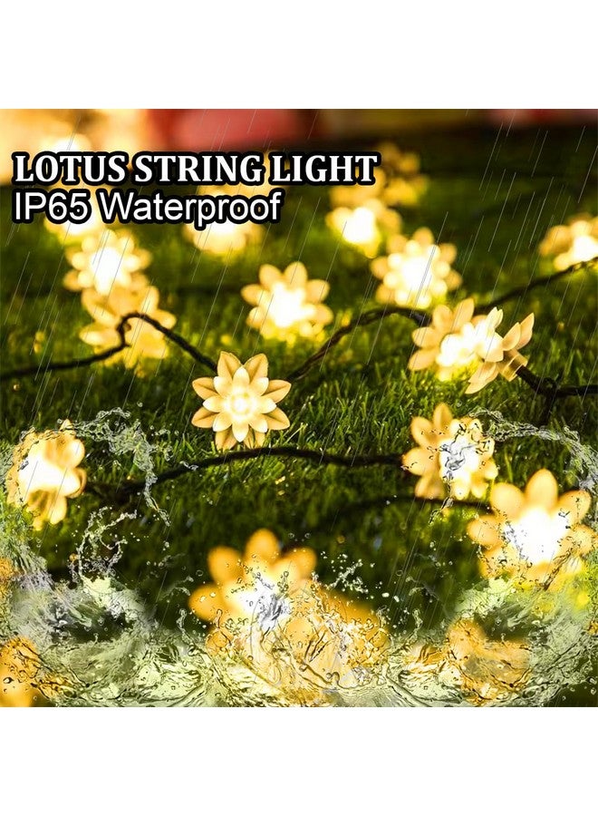 fizzytech fizzytech Plastic Bubble Ball String Lights of Home Decoration Diwali Light for Party Birthday Diwali Christmas Navratri Valentine Gift Home Decoration Light (25 LED Lotus WW)  - Image 3