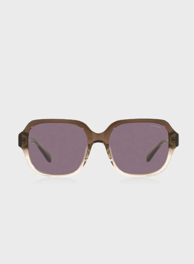 COACH 0Hc8335U Oversized Sunglasses