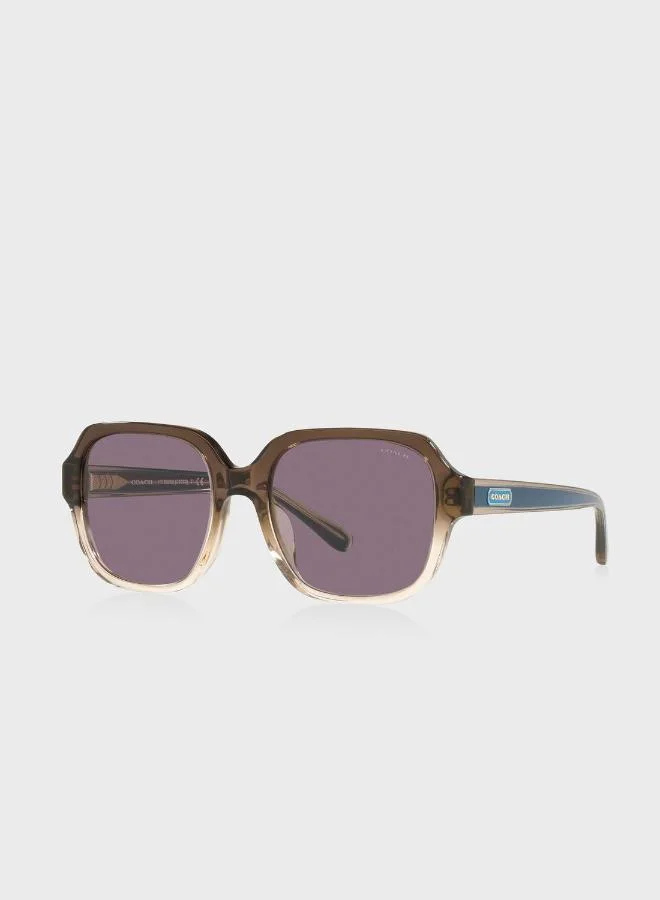 COACH 0Hc8335U Oversized Sunglasses