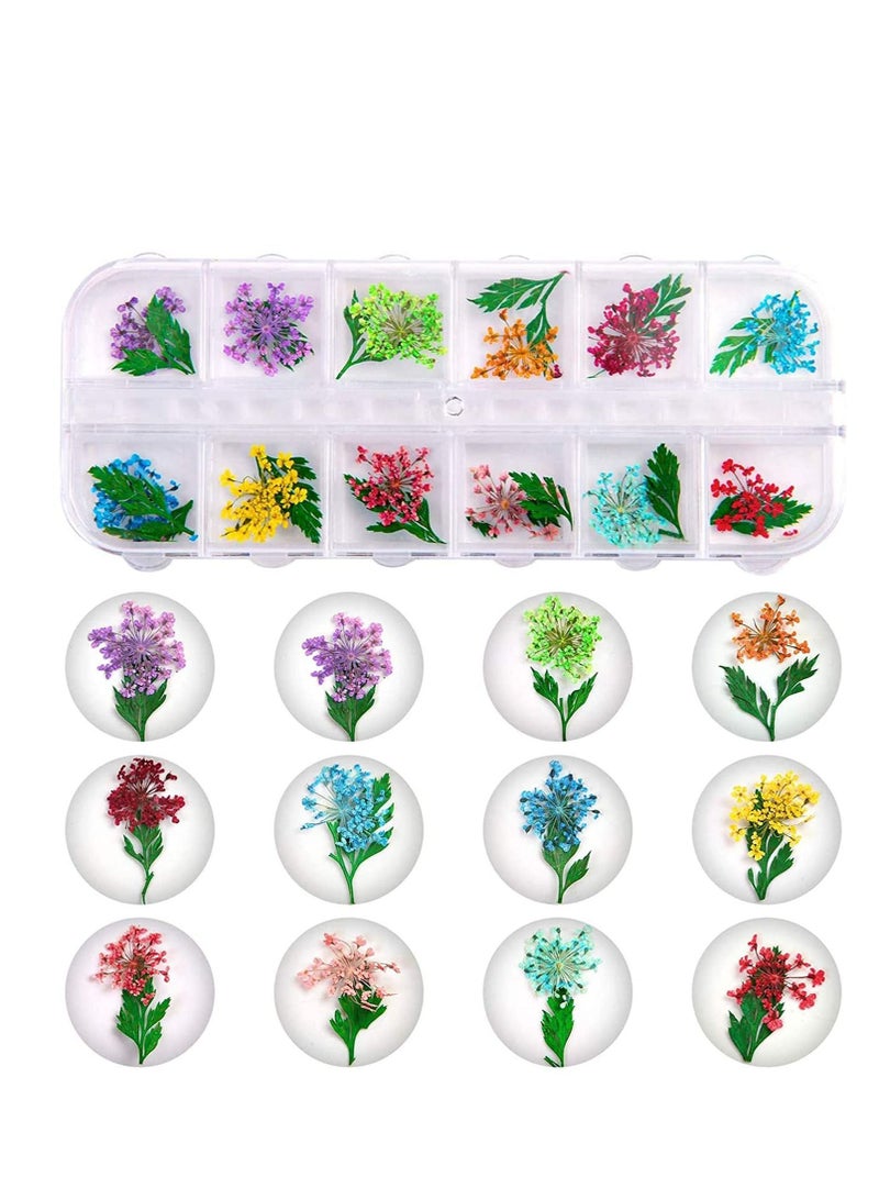 2 Boxes Nail Dried Flowers Natural Flower Art Dry Gypsophila Leaves Decoration Stickers with Black Tweezers, 3D Applique Accessories - Image 2