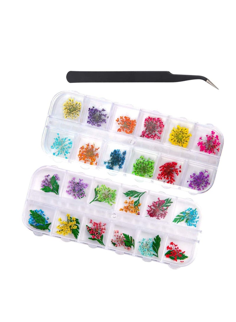 2 Boxes Nail Dried Flowers Natural Flower Art Dry Gypsophila Leaves Decoration Stickers with Black Tweezers, 3D Applique Accessories - Image 1