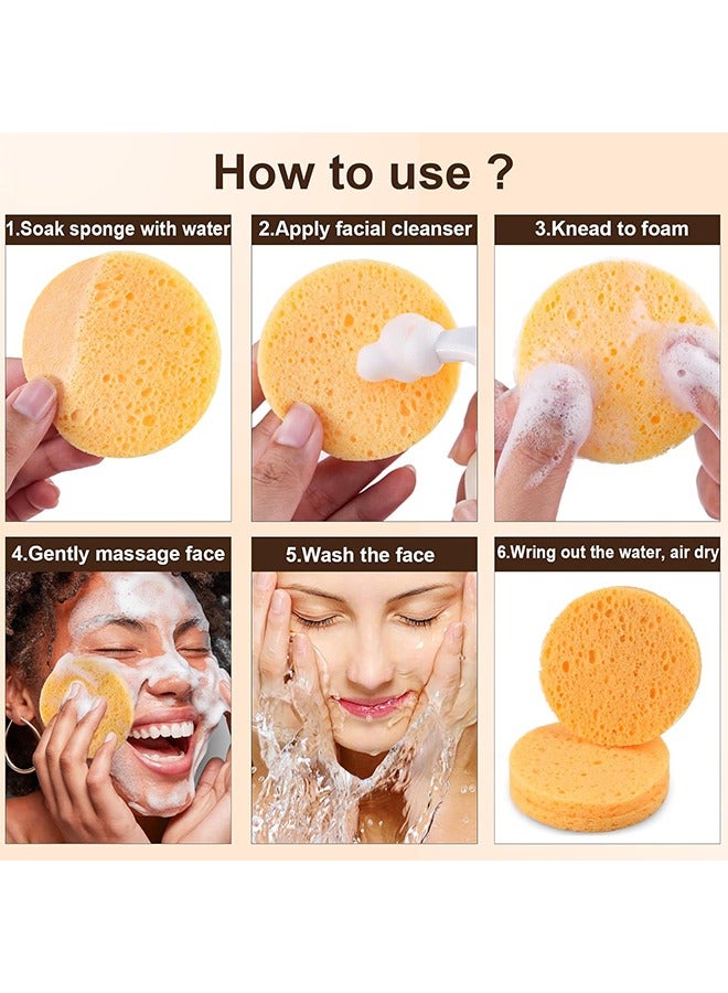 إسفنجات الوجه، وسادات تنظيف للبقع الداكنة، إسفنجات مضغوطة صغيرة للسفر، وسادات تقشير للوجه للتنظيف، أدوات للعناية بالبشرة - Image 3