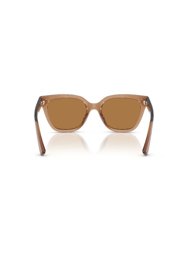 Armani Exchange Full Rimmed Cat Eye Sunglasses 0AX4164SU - Image 4
