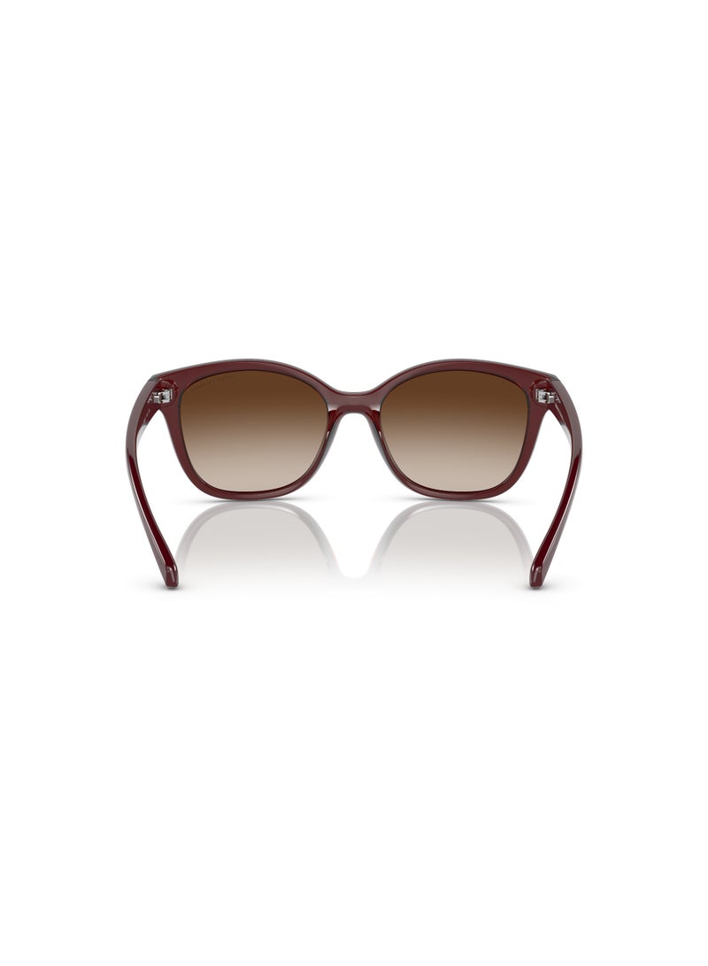 Armani Exchange AX4127S 824113 Women's Full Rim Cat Eye Sunglasses, Transparent Red/Brown - Image 4