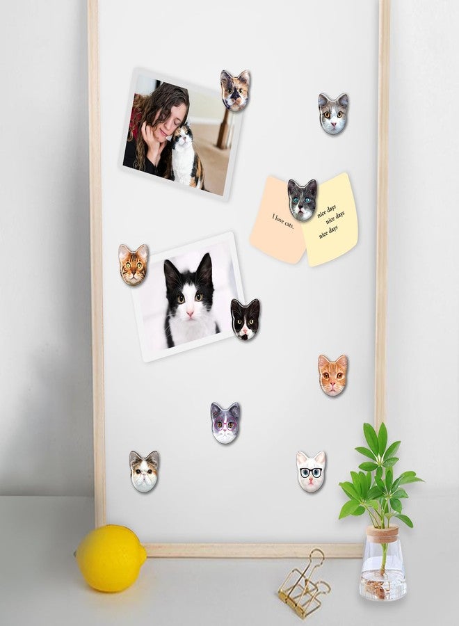 MORCART Cat Magnets for Fridge, Cute Magnets for Refrigerator Locker Whiteboard Decorative Magnetic Board Cabinets Classroom Office Cubicle School Gift for Adult 30PCS - Image 4