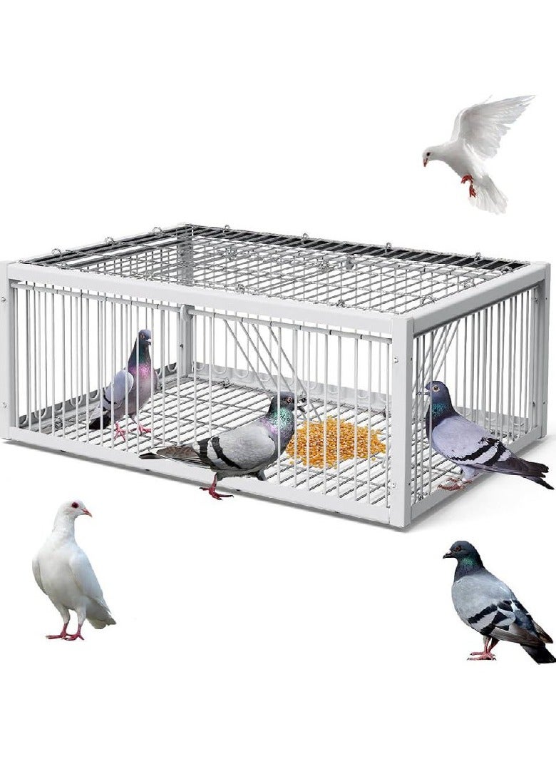Petbite Heavy-Duty Automatic Cage Trap for Pigeons, Two-Door Entry, Anti-Escape Design – Ideal for Gardens, Outdoor Hunting, and Farm Livestock Management, Pigeon Control | Secure Cage | Metal Construction  - Image 1