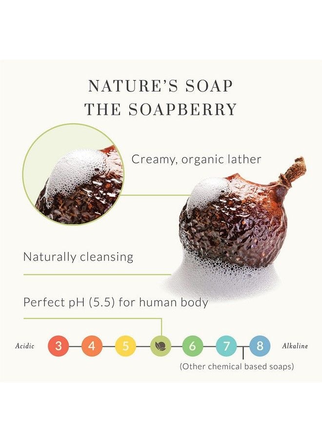 Tree to Tub - Unscented Body Wash For Sensitive Skin & Dry Skin Moisturizing Ph Balanced Fragrance Free Body Wash Hydrating Sulfate Free Body Soap For Women & Men W/Organic Shea Butter Natural Aloe - Image 1
