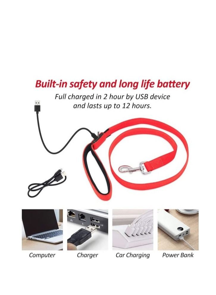 مقود وامض للحيوانات الأليفة قابل لإعادة الشحن عبر USB للحصول على رؤية ليلية فائقة الوضوح - متعدد الألوان، كبير، مجموعة من قطعتين - Image 3