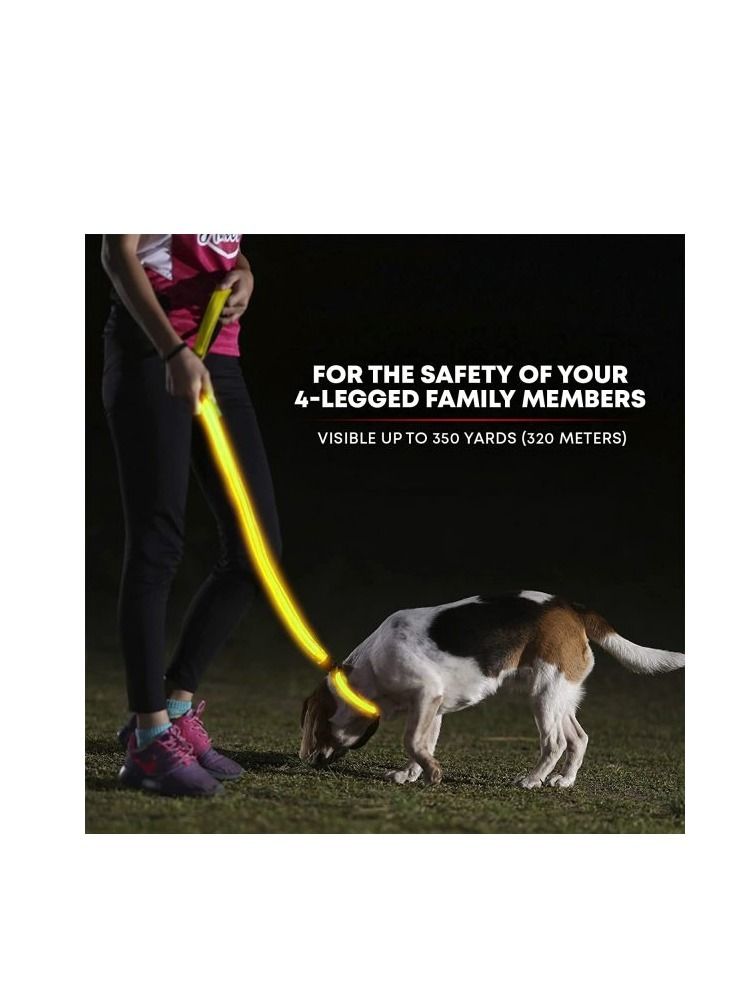 مقود وامض للحيوانات الأليفة قابل لإعادة الشحن عبر USB للحصول على رؤية ليلية فائقة الوضوح - متعدد الألوان، كبير، مجموعة من قطعتين - Image 4