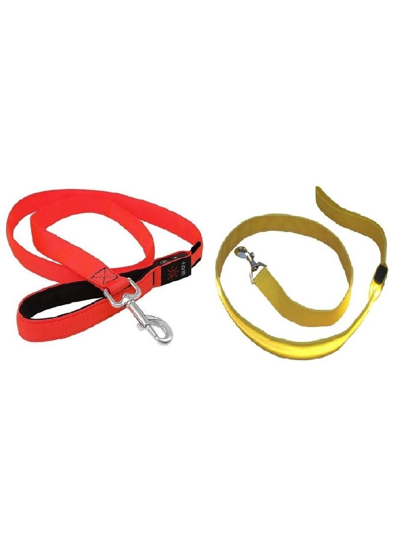 مقود وامض للحيوانات الأليفة قابل لإعادة الشحن عبر USB للحصول على رؤية ليلية فائقة الوضوح - متعدد الألوان، كبير، مجموعة من قطعتين - Image 1