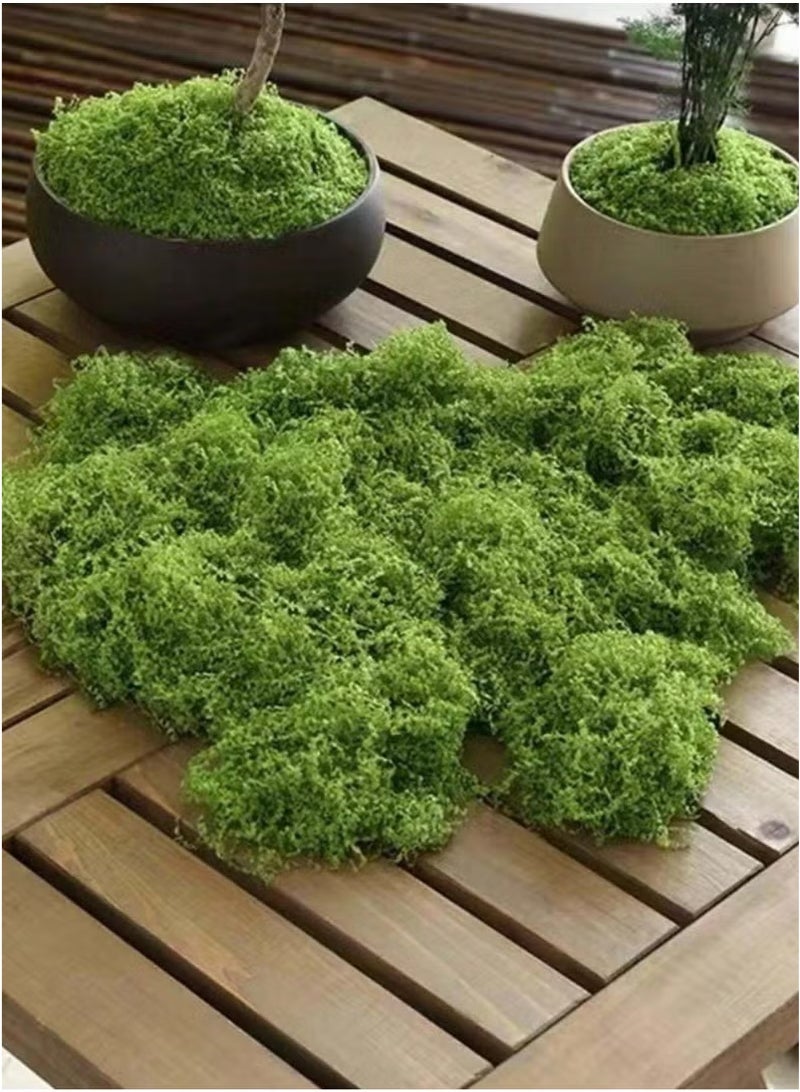 Generic 100g Moss Grass Perfectly Simulates Artificial Moss Fake Green Grass for Centerpieces Home Kitchen Garden Decor Preserved Forest Moss  - Image 2