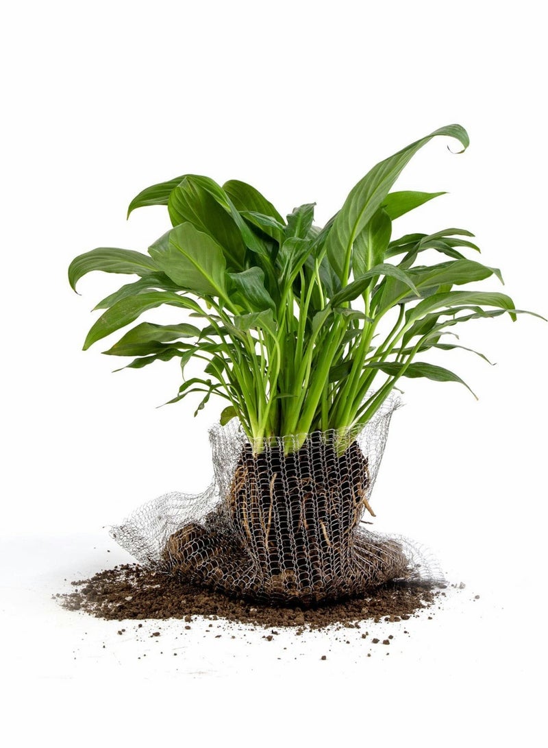 Zikra شبكة حماية جذور النباتات، حماية النباتات والأشجار والزهور والبصيلات من الفئران الأرضية، الجحور والخلد – حل لمرة واحدة، لا حاجة لطارد 6 – عبوة - Image 2