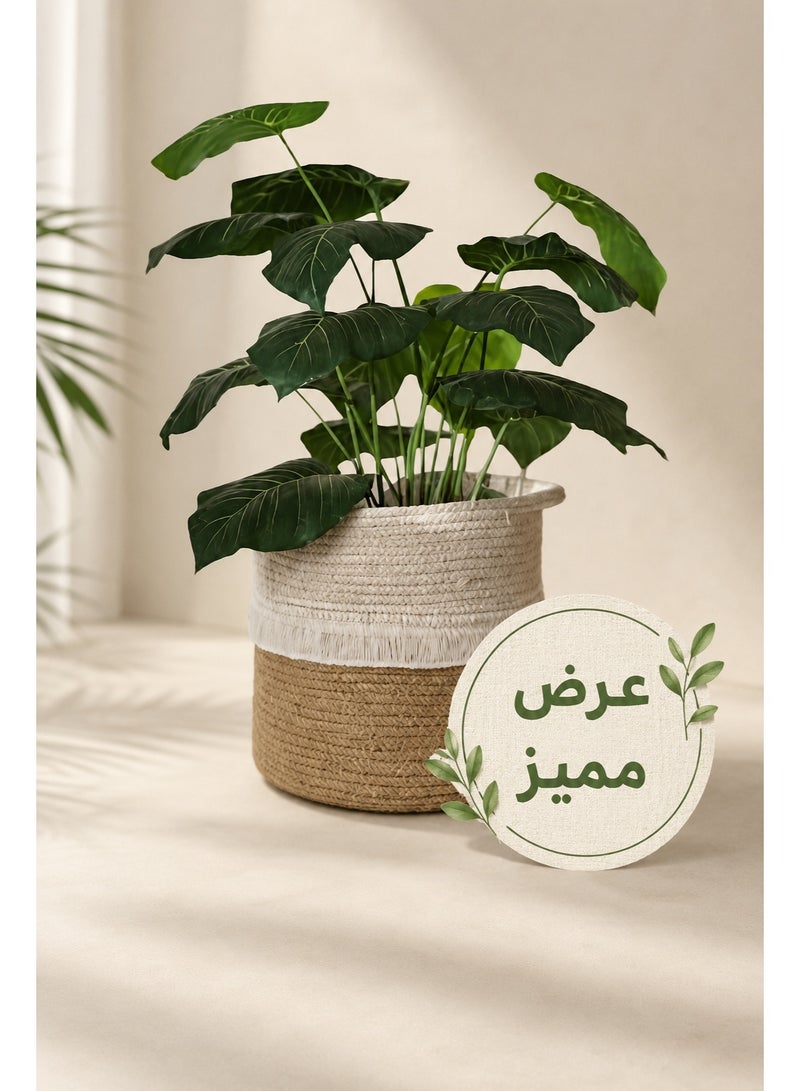 كالدا سلة زرع كالدا "بوهو" من الحبال (20×20 سم) – غطاء أصيص نباتات منسوج من القطن بلونين – سلة تخزين ديكورية لغرفة المعيشة وغرفة النوم والمكتب (أوف وايت وبيج) - Image 2