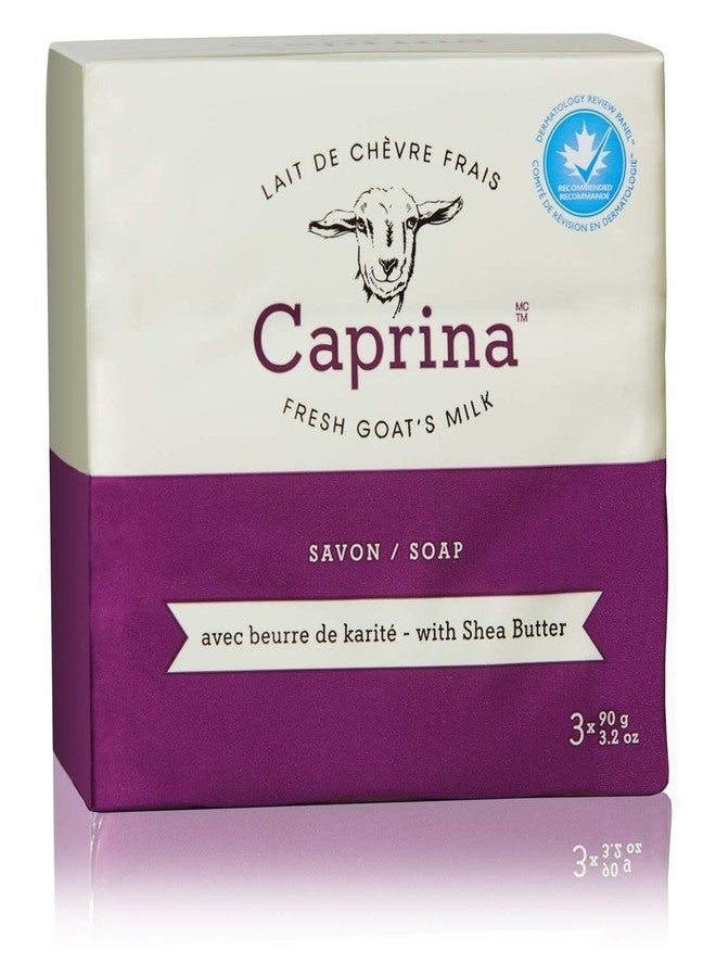 Caprina by Canus Fresh Goat's Milk Soap Bar Shea Butter, 25.6 Ounce (Pack of 8) - Image 1