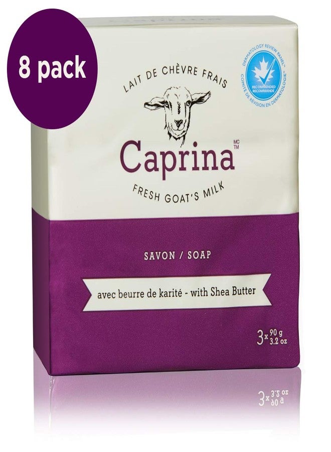 Caprina by Canus Fresh Goat's Milk Soap Bar Shea Butter, 25.6 Ounce (Pack of 8) - Image 2