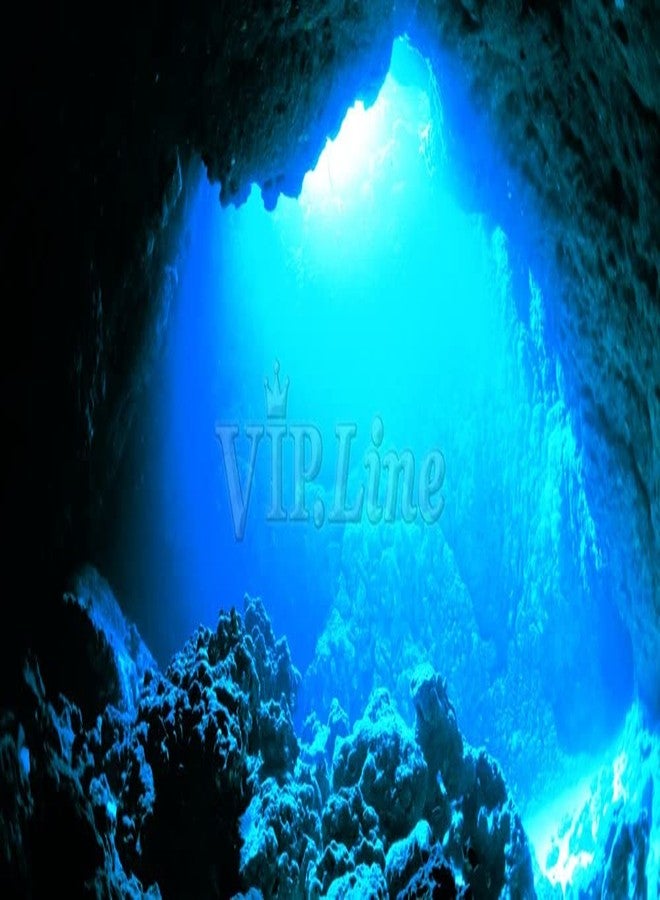 Aquarium Background Poster Under Water Cave Sunlight Fish Tank Backdrop Decorations PVC Fish Tank Background (24" x 12"/ 61 x 30cm) - Image 1