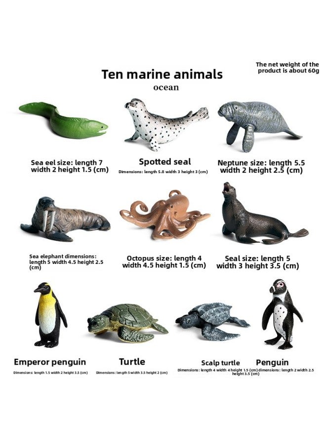 Children's Early Education Simulation Marine Animal Model Dinosaur Toy Birds Insect Sand Table Fleshy Scene Fish Tank Ornaments-Color:M6027 Mini Ocean 10 Set - Image 1