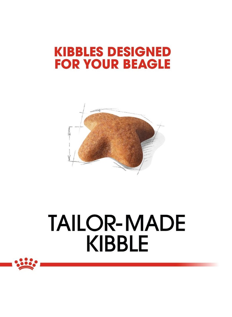 رويال كانين - تغذية صحية لسلالات كلاب بيجل البالغة - وزن 3 كجم - Image 3