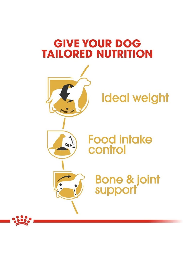 رويال كانين - تغذية صحية لسلالات كلاب بيجل البالغة - وزن 3 كجم - Image 4
