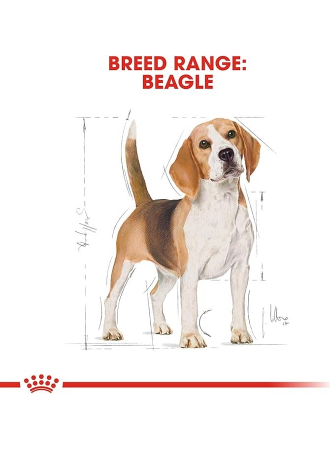 رويال كانين - تغذية صحية لسلالات كلاب بيجل البالغة - وزن 3 كجم - Image 5