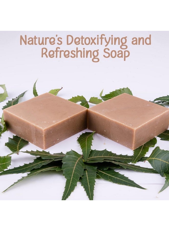 Naturalis صابون نيم ناتوراليس للحكة الجلدية - صابون نيم مضغوط يدويًا بمكونات عضوية - صابون مطهر فاخر طبيعي لتنظيف عميق، وترطيب، وحماية البشرة، 100 جرام - Image 4